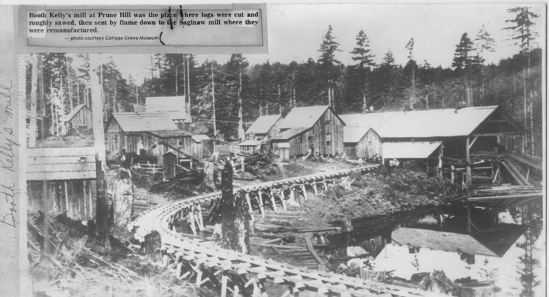 Mill on Prune Hill Mill on Prune Hill