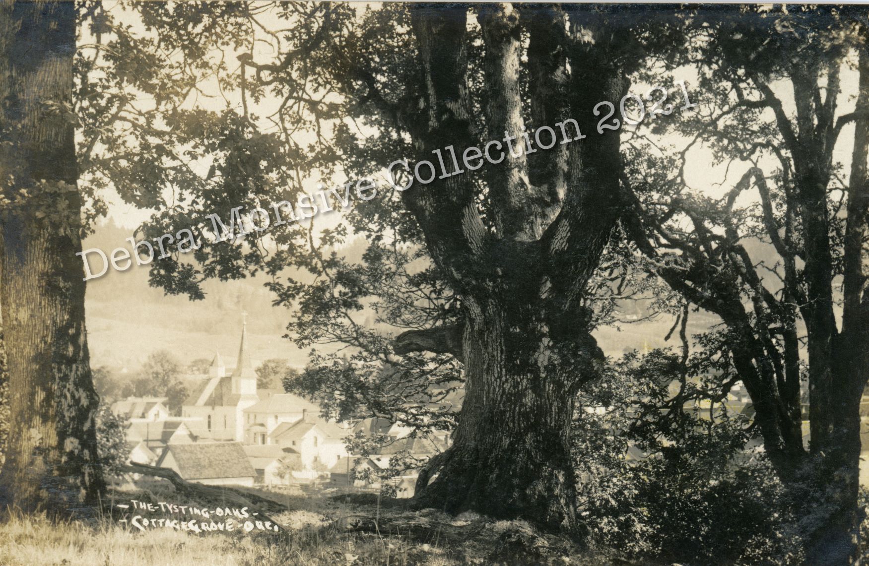 Postcard No 22 Cottage Grove c. 1915 Postcard No 22 Cottage Grove c. 1915