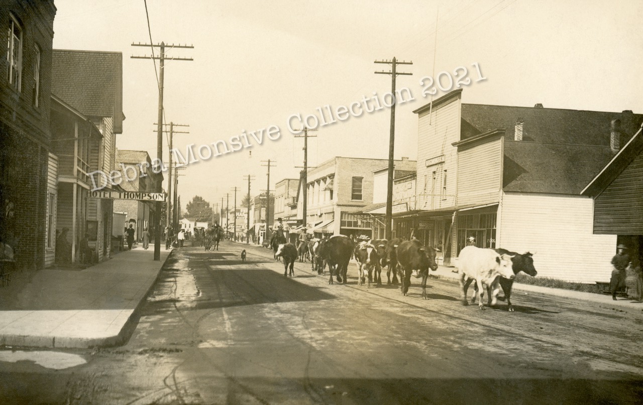 Postcard number 27 Cattle Drive circa 1912