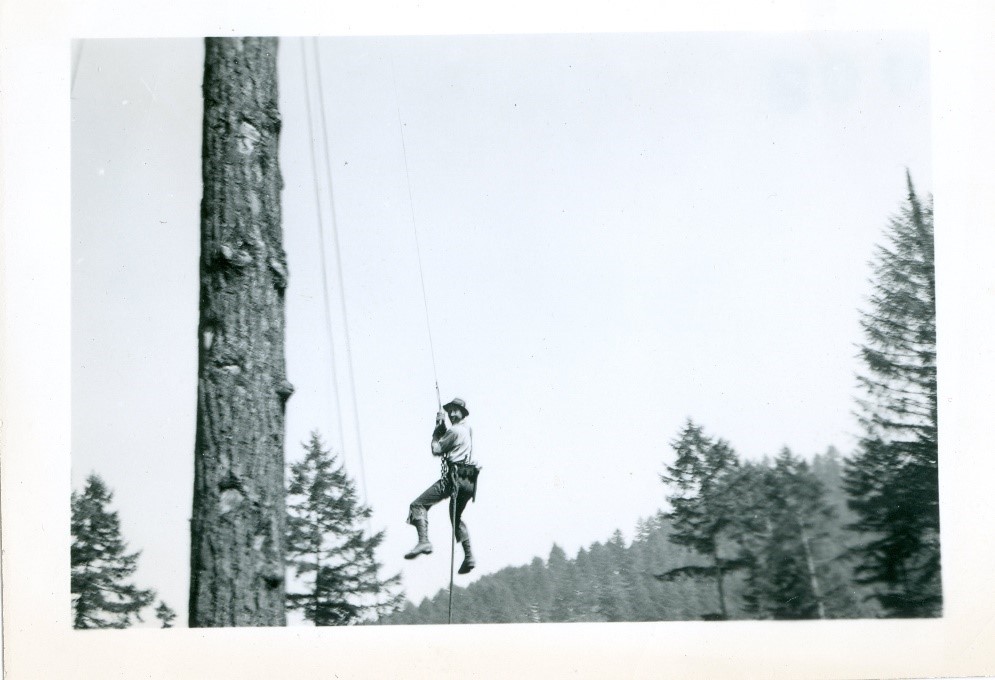 Spur Climber spur climber