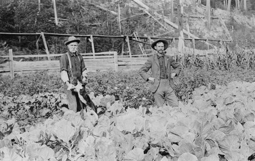 veggie garden warehouse e1524008342707